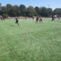 Testspielsieg gegen Landesligisten